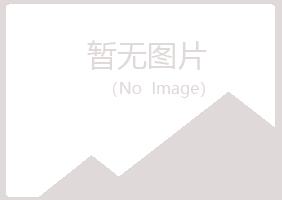 河池如天建筑有限公司